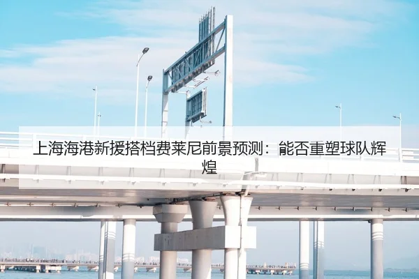 上海海港新援搭档费莱尼前景预测：能否重塑球队辉煌