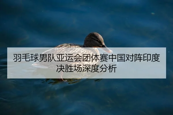羽毛球男队亚运会团体赛中国对阵印度决胜场深度分析